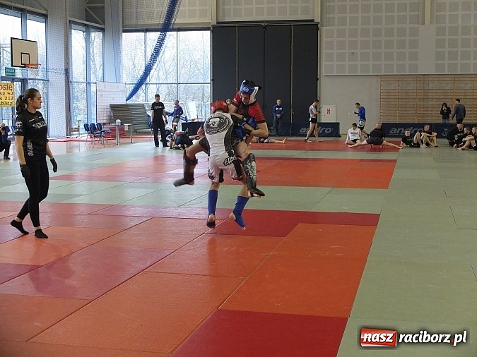 Zdjęcie w galerii na portalu naszraciborz.pl: Fullcontactowe zawody ALMMA w Bytomiu  wiadomości z regionu