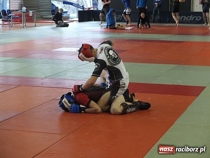 Zdjęcie w galerii na portalu naszraciborz.pl: Fullcontactowe zawody ALMMA w Bytomiu  wiadomości z regionu