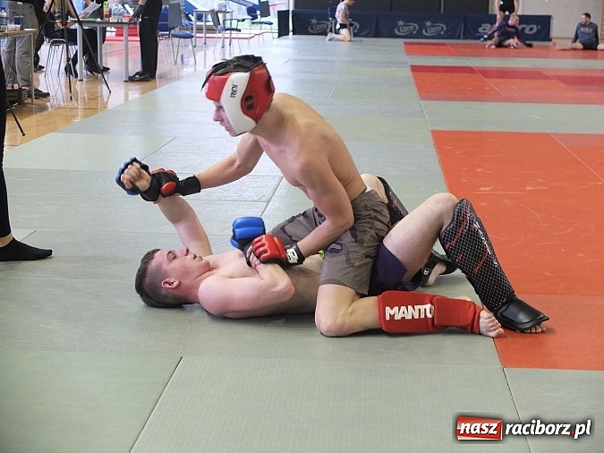 Zdjęcie w galerii na portalu naszraciborz.pl: Fullcontactowe zawody ALMMA w Bytomiu  wiadomości z regionu