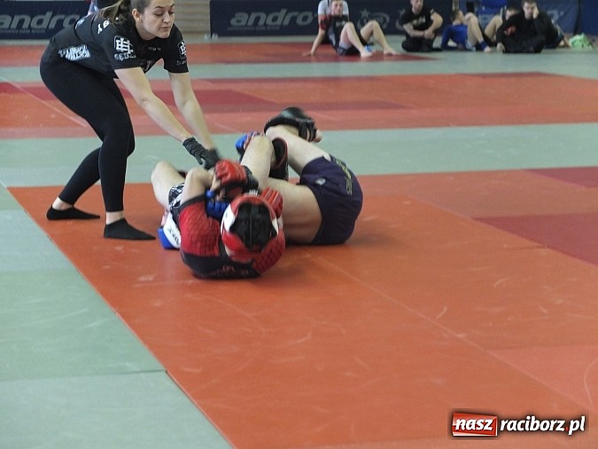 Zdjęcie w galerii na portalu naszraciborz.pl: Fullcontactowe zawody ALMMA w Bytomiu  wiadomości z regionu