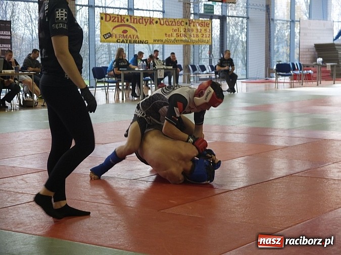 Zdjęcie w galerii na portalu naszraciborz.pl: Fullcontactowe zawody ALMMA w Bytomiu  wiadomości z regionu