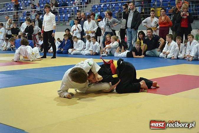 Zdjęcie w galerii na portalu naszraciborz.pl: Udany start najmłodszych Łamatorów wiadomości z regionu