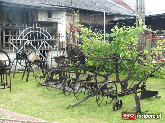 Zdjęcie w galerii na portalu naszraciborz.pl: Majstrowa młotem wywija wiadomości z regionu