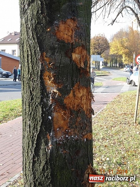 Zdjęcie w galerii na portalu naszraciborz.pl: Kierująca oplem tigrą wymusiła pierwszeństwo i wjechała w seata wiadomości z regionu