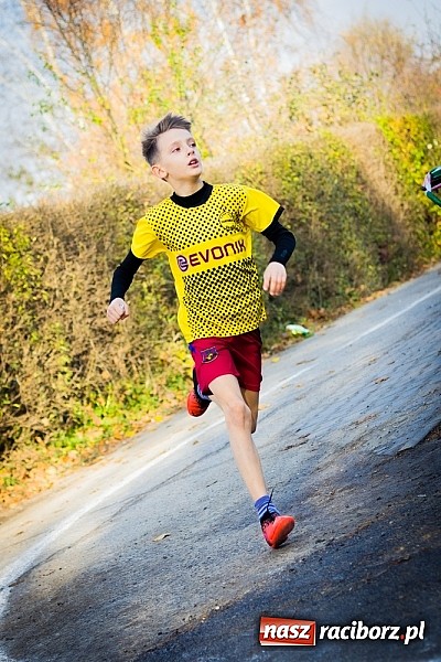 Zdjęcie w galerii na portalu naszraciborz.pl: XV Bieg Niepodległości w Kuźni Raciborskiej wiadomości z regionu