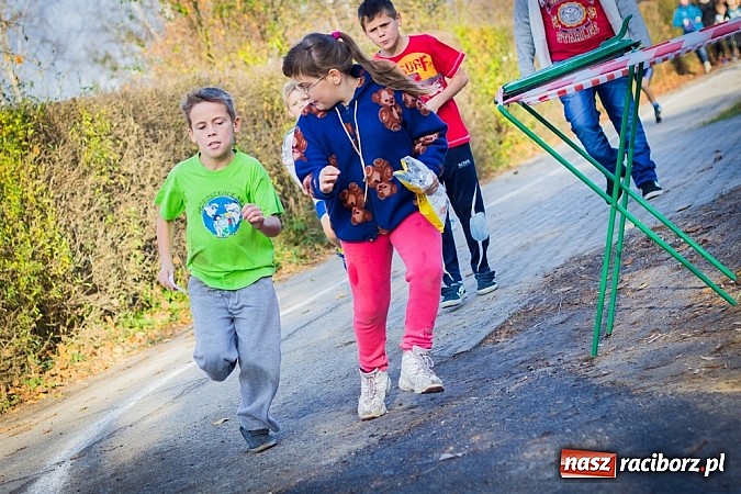 Zdjęcie w galerii na portalu naszraciborz.pl: XV Bieg Niepodległości w Kuźni Raciborskiej wiadomości z regionu