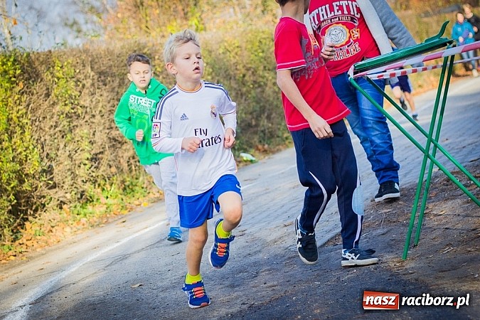Zdjęcie w galerii na portalu naszraciborz.pl: XV Bieg Niepodległości w Kuźni Raciborskiej wiadomości z regionu