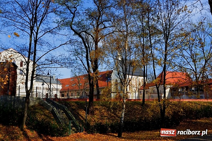 Zdjęcie w galerii na portalu naszraciborz.pl: Zamek 2014 – turystów przybywa  wiadomości z regionu