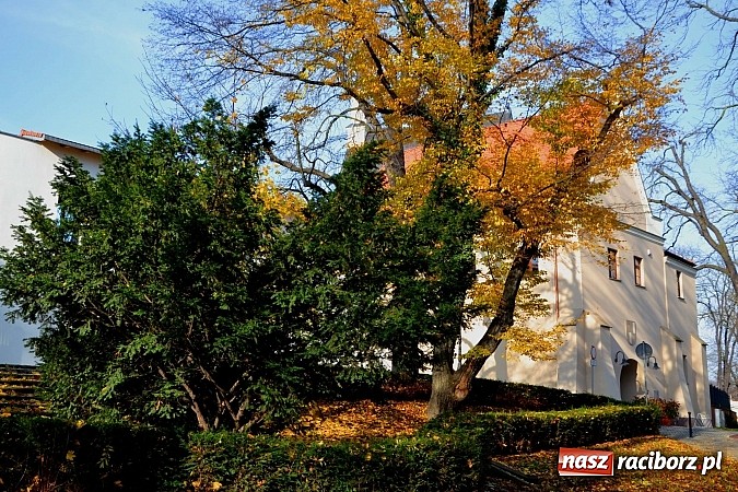 Zdjęcie w galerii na portalu naszraciborz.pl: Zamek 2014 – turystów przybywa  wiadomości z regionu