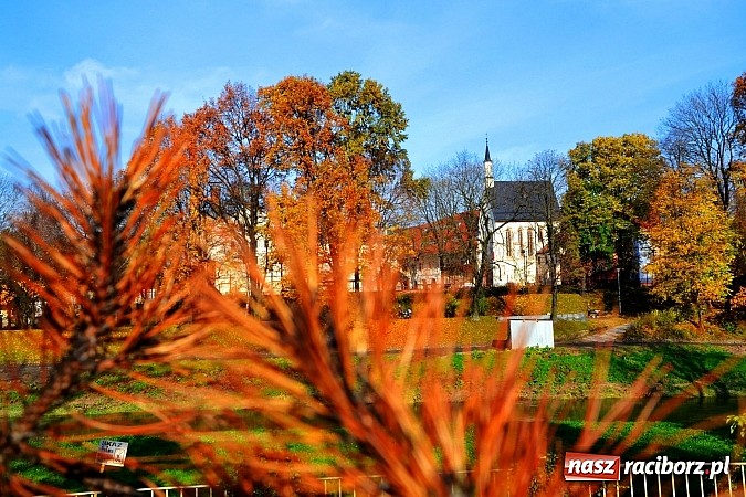 Zdjęcie w galerii na portalu naszraciborz.pl: Zamek 2014 – turystów przybywa  wiadomości z regionu