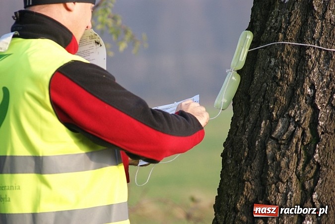 Zdjęcie w galerii na portalu naszraciborz.pl: Rowerowy questing w Kobyli wiadomości z regionu