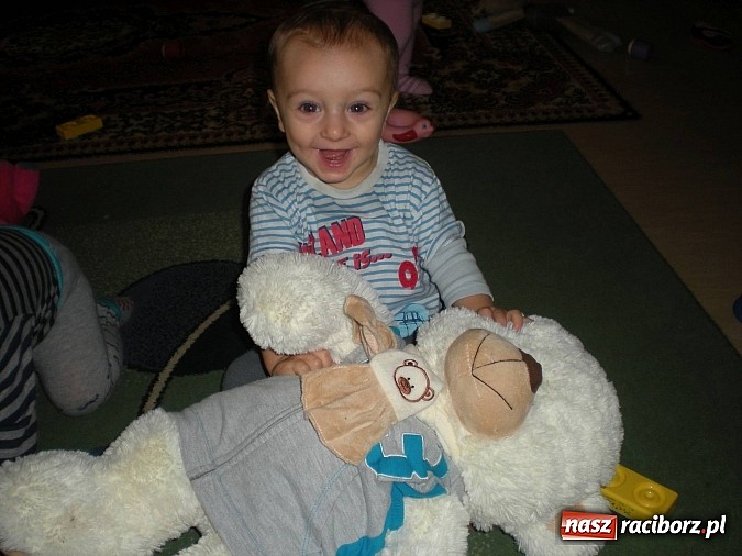 Zdjęcie w galerii na portalu naszraciborz.pl: Żłobkowicze z Raciborza relacjonują Dzień Misia wiadomości z regionu