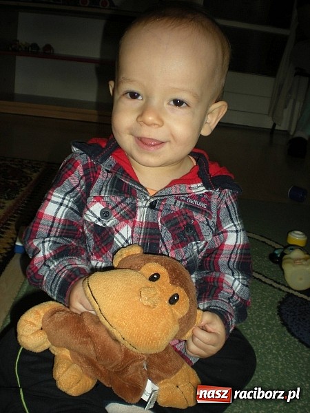 Zdjęcie w galerii na portalu naszraciborz.pl: Żłobkowicze z Raciborza relacjonują Dzień Misia wiadomości z regionu