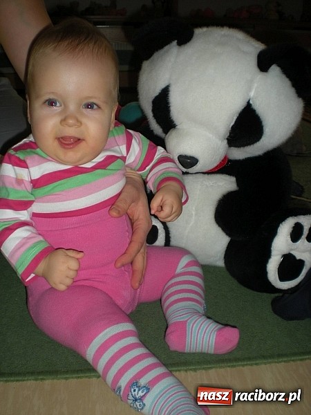 Zdjęcie w galerii na portalu naszraciborz.pl: Żłobkowicze z Raciborza relacjonują Dzień Misia wiadomości z regionu