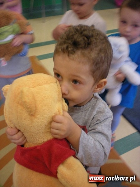 Zdjęcie w galerii na portalu naszraciborz.pl: Żłobkowicze z Raciborza relacjonują Dzień Misia wiadomości z regionu