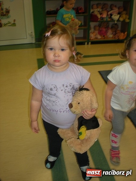 Zdjęcie w galerii na portalu naszraciborz.pl: Żłobkowicze z Raciborza relacjonują Dzień Misia wiadomości z regionu