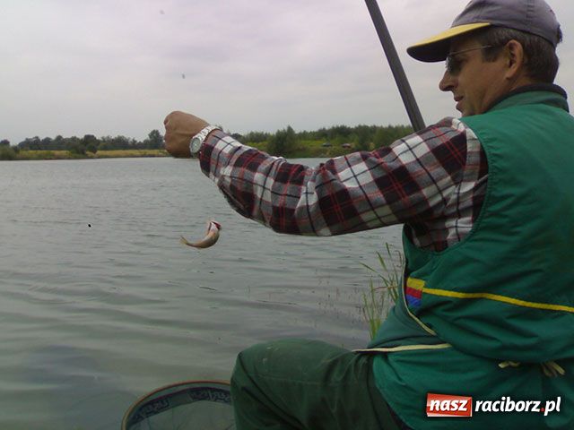 Zdjęcie w galerii na portalu naszraciborz.pl: Wędkarstwo: O puchar prezydenta wiadomości z regionu