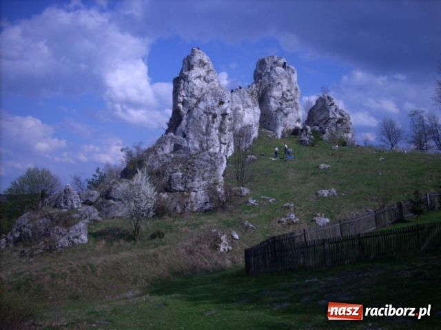 Zdjęcie w galerii na portalu naszraciborz.pl: Znakomita passa Raciborskiego Stowarzyszenia Wspinaczkowego wiadomości z regionu