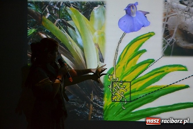 Zdjęcie w galerii na portalu naszraciborz.pl: Festiwal Podróżniczy Wiatraki rozpoczęty  wiadomości z regionu