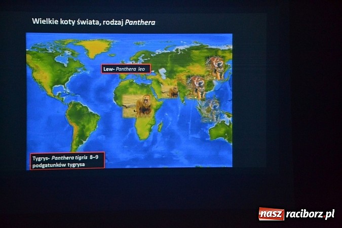 Zdjęcie w galerii na portalu naszraciborz.pl: Festiwal Podróżniczy Wiatraki rozpoczęty  wiadomości z regionu