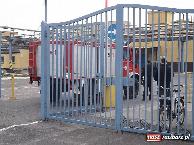 Zdjęcie w galerii na portalu naszraciborz.pl: Pożar w hali produkcyjnej w Henklu postawił strażaków na nogi! wiadomości z regionu