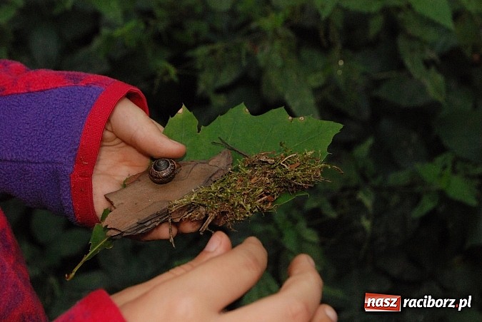 Zdjęcie w galerii na portalu naszraciborz.pl: Ekologiczny survival wiadomości z regionu