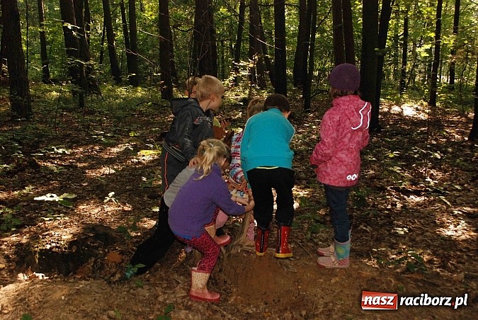 Zdjęcie w galerii na portalu naszraciborz.pl: Ekologiczny survival wiadomości z regionu
