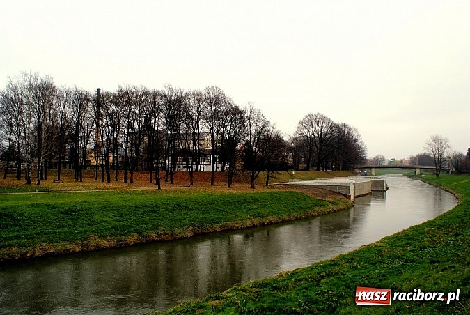 Zdjęcie w galerii na portalu naszraciborz.pl: Raciborska przystań nadodrzańska już gotowa wiadomości z regionu