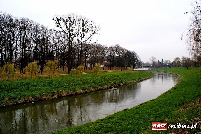 Zdjęcie w galerii na portalu naszraciborz.pl: Raciborska przystań nadodrzańska już gotowa wiadomości z regionu