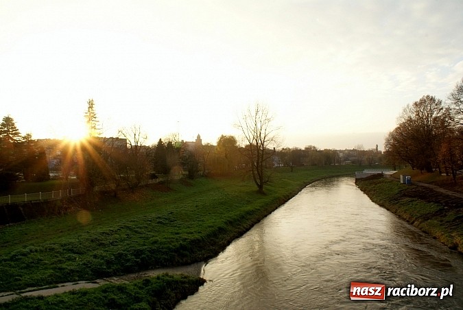 Zdjęcie w galerii na portalu naszraciborz.pl: Raciborska przystań nadodrzańska już gotowa wiadomości z regionu
