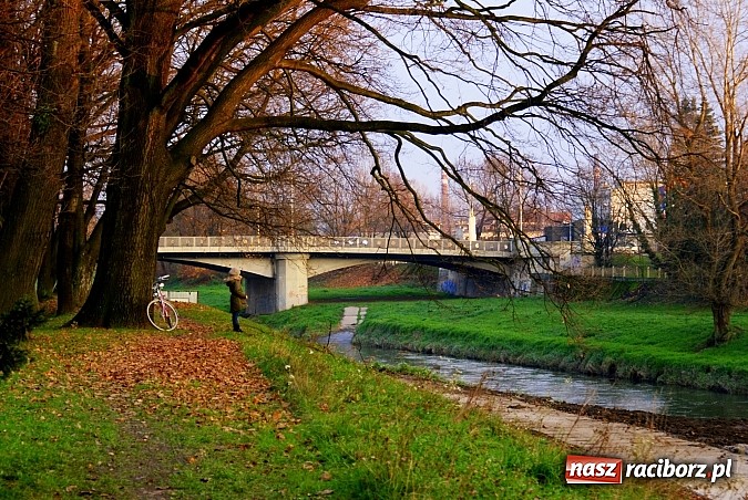 Zdjęcie w galerii na portalu naszraciborz.pl: Raciborska przystań nadodrzańska już gotowa wiadomości z regionu