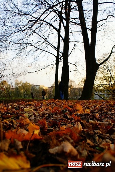 Zdjęcie w galerii na portalu naszraciborz.pl: Raciborska przystań nadodrzańska już gotowa wiadomości z regionu