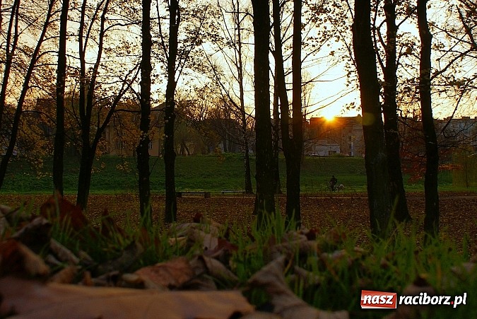 Zdjęcie w galerii na portalu naszraciborz.pl: Raciborska przystań nadodrzańska już gotowa wiadomości z regionu