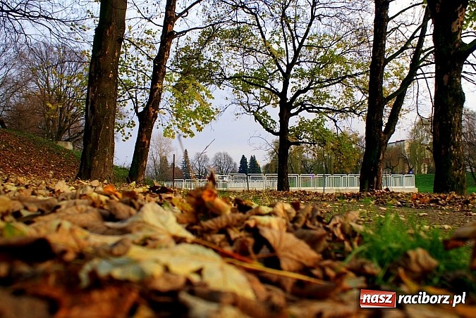 Zdjęcie w galerii na portalu naszraciborz.pl: Raciborska przystań nadodrzańska już gotowa wiadomości z regionu