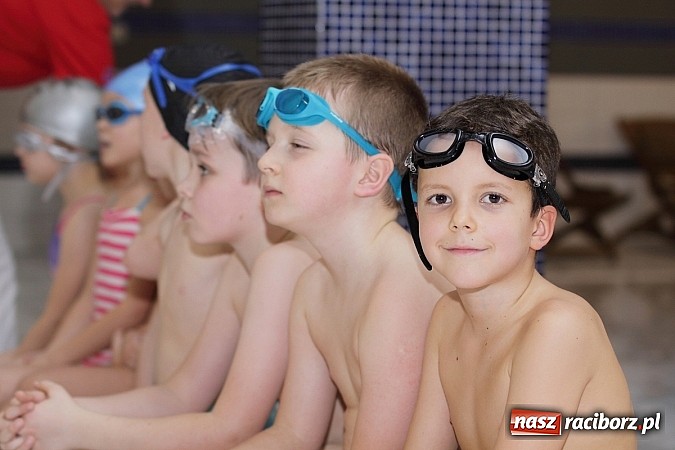 Zdjęcie w galerii na portalu naszraciborz.pl: Pływanie. Rekordowe mikołajki w H2Ostróg wiadomości z regionu