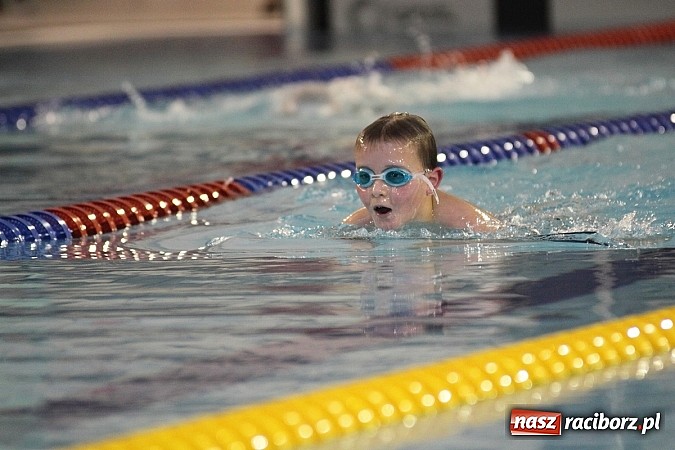 Zdjęcie w galerii na portalu naszraciborz.pl: Pływanie. Rekordowe mikołajki w H2Ostróg wiadomości z regionu