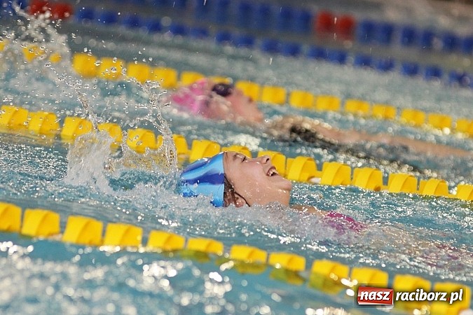 Zdjęcie w galerii na portalu naszraciborz.pl: Pływanie. Rekordowe mikołajki w H2Ostróg wiadomości z regionu