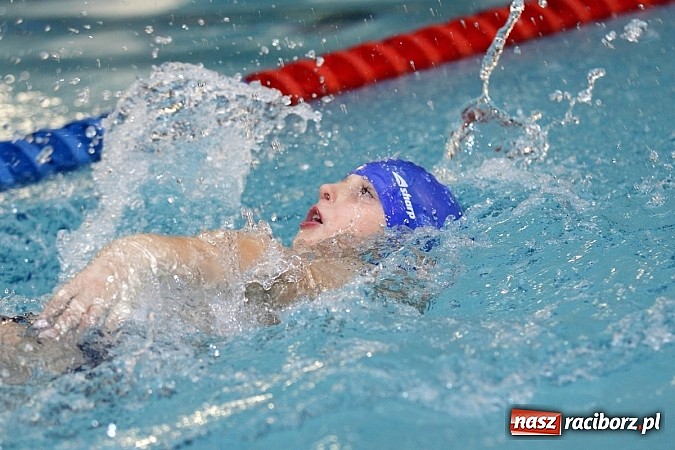 Zdjęcie w galerii na portalu naszraciborz.pl: Pływanie. Rekordowe mikołajki w H2Ostróg wiadomości z regionu