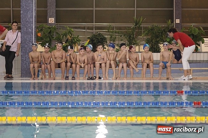 Zdjęcie w galerii na portalu naszraciborz.pl: Pływanie. Rekordowe mikołajki w H2Ostróg wiadomości z regionu