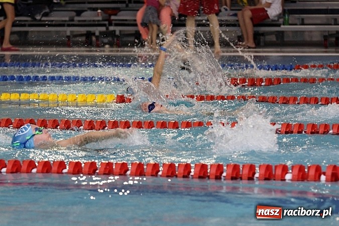 Zdjęcie w galerii na portalu naszraciborz.pl: Pływanie. Rekordowe mikołajki w H2Ostróg wiadomości z regionu