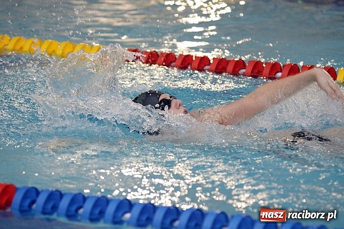 Zdjęcie w galerii na portalu naszraciborz.pl: Pływanie. Rekordowe mikołajki w H2Ostróg wiadomości z regionu