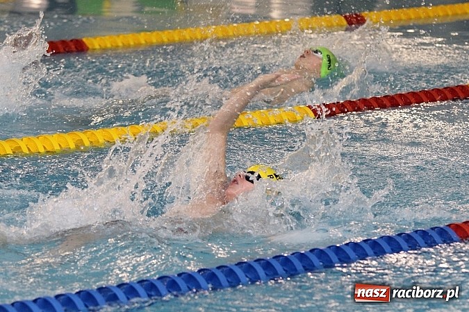 Zdjęcie w galerii na portalu naszraciborz.pl: Pływanie. Rekordowe mikołajki w H2Ostróg wiadomości z regionu