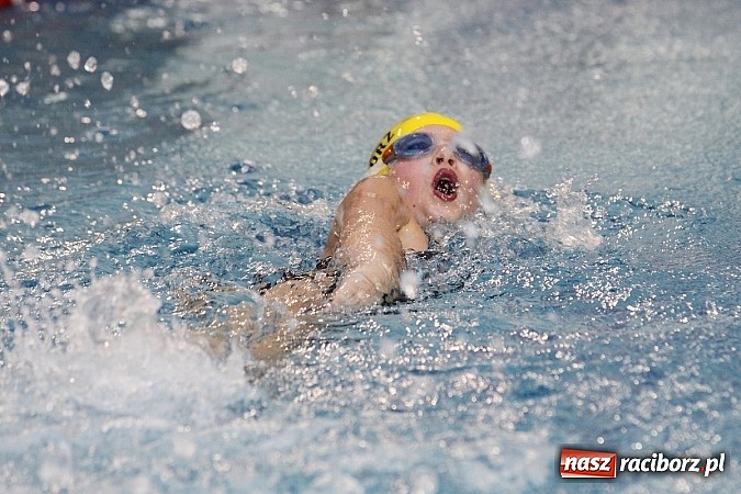 Zdjęcie w galerii na portalu naszraciborz.pl: Pływanie. Rekordowe mikołajki w H2Ostróg wiadomości z regionu