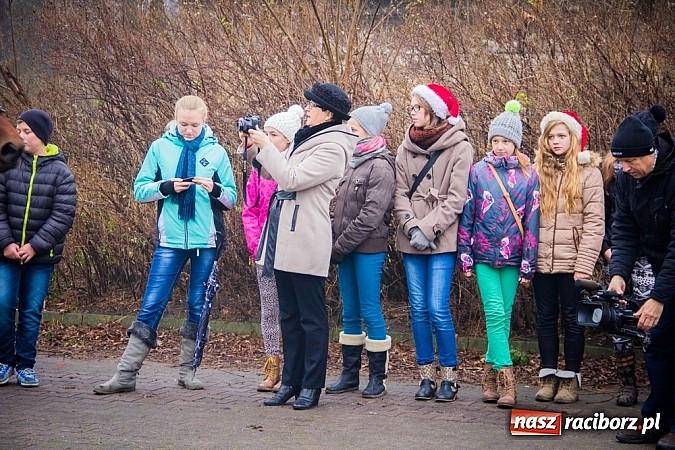 Zdjęcie w galerii na portalu naszraciborz.pl: W Krzanowicach tradycji stało się zadość. Jeźdźcy pojechali do Mikołaszka wiadomości z regionu