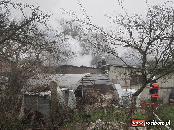 Zdjęcie w galerii na portalu naszraciborz.pl: Pożar budynku gospodarczego na Przeryciu wiadomości z regionu