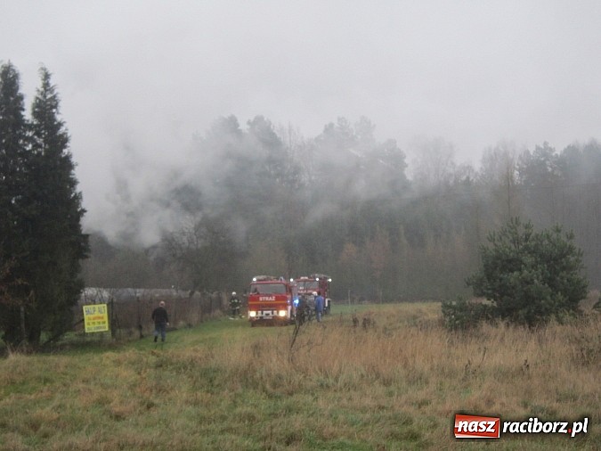 Zdjęcie w galerii na portalu naszraciborz.pl: Pożar budynku gospodarczego na Przeryciu wiadomości z regionu