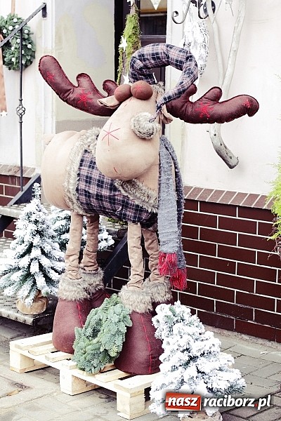 Zdjęcie w galerii na portalu naszraciborz.pl: Świąteczne szaleństwo w Kwiaciarni Lawender! wiadomości z regionu