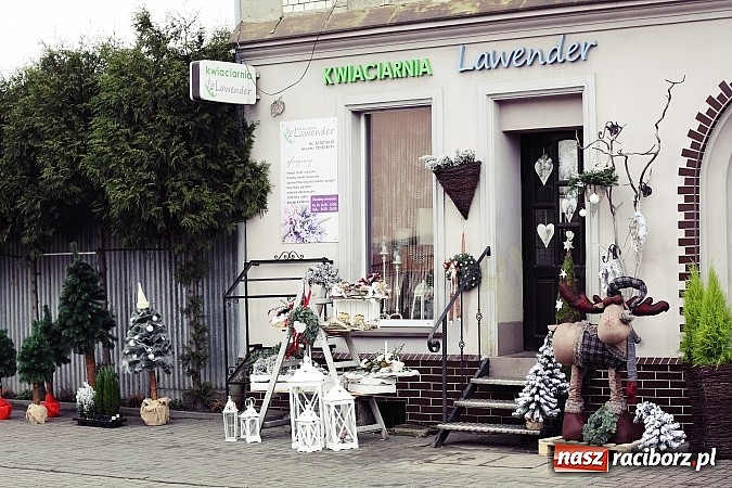 Zdjęcie w galerii na portalu naszraciborz.pl: Świąteczne szaleństwo w Kwiaciarni Lawender! wiadomości z regionu