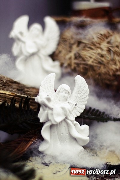 Zdjęcie w galerii na portalu naszraciborz.pl: Świąteczne szaleństwo w Kwiaciarni Lawender! wiadomości z regionu