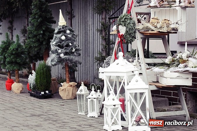 Zdjęcie w galerii na portalu naszraciborz.pl: Świąteczne szaleństwo w Kwiaciarni Lawender! wiadomości z regionu